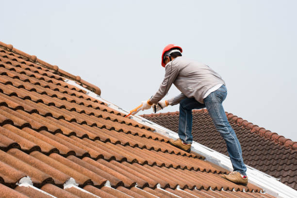  Aledo, TX Roofing service Pros